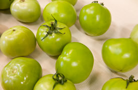 Green tomatoes