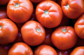 Red ripe tomatoes